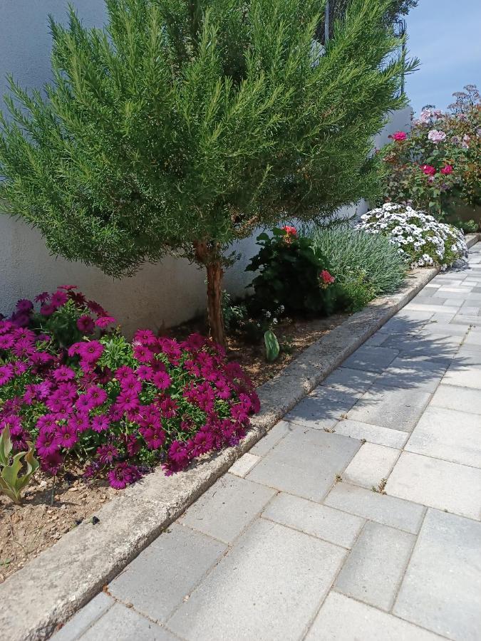 Appartement Tonina - House With Terrace, Jacuzzi, Free Parking à Split Extérieur photo